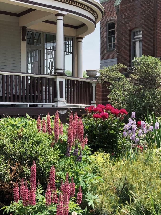 Mahogany Manor Bed & Breakfast Saint John Buitenkant foto
